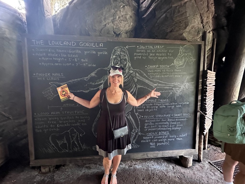 Sarah matching the lowland gorilla arm-span chalkboard