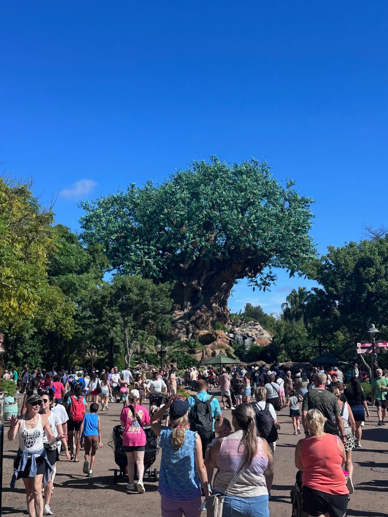 Tree of Life with morning crowds on the pathway